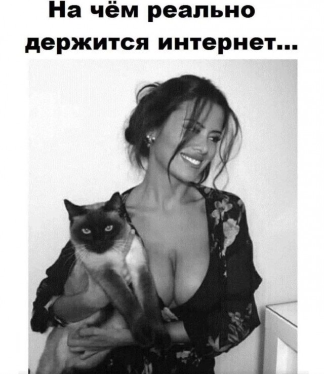К котовторнику: подборка картинок-баянов с котиками и про котиков. Выпуск 6