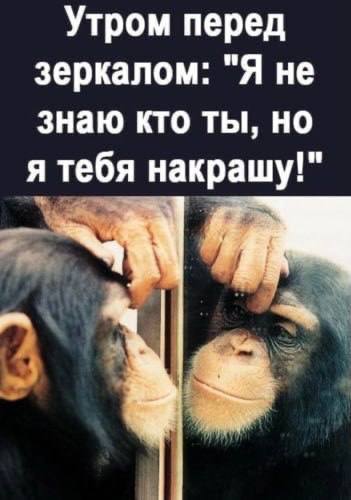 Немного картинок есть у меня на пятницу.