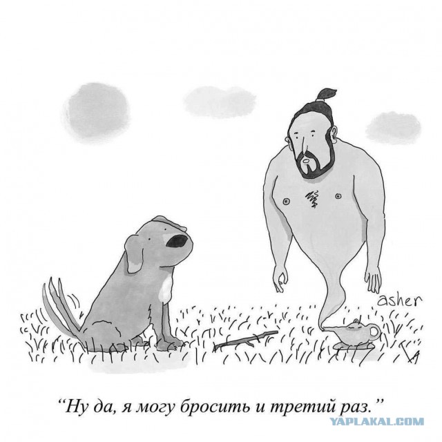 Спасли собаку на пожаре
