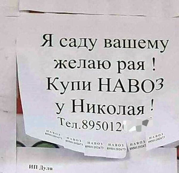 Картинки для деградации 55 (разной степени свежести)