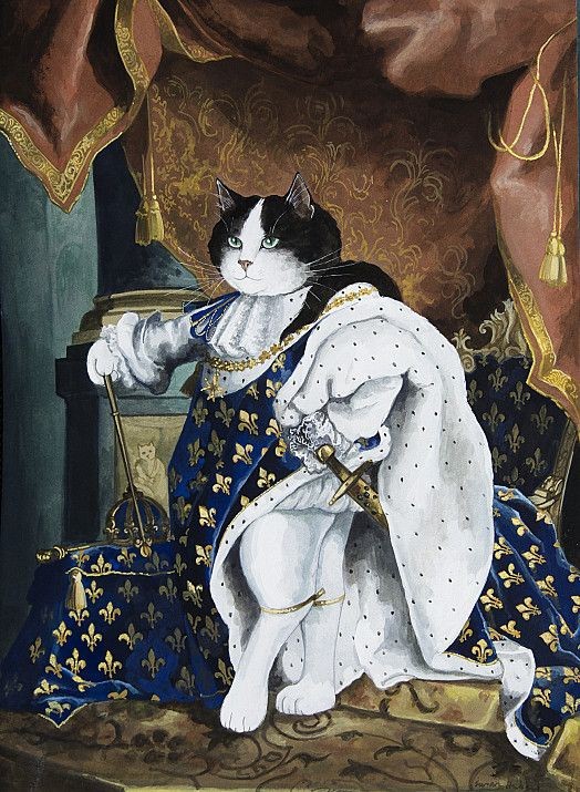 У нас кот