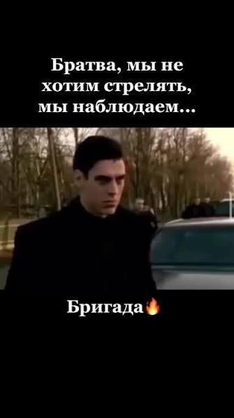 Мужик устраивает ежедневный кинотеатр для котов