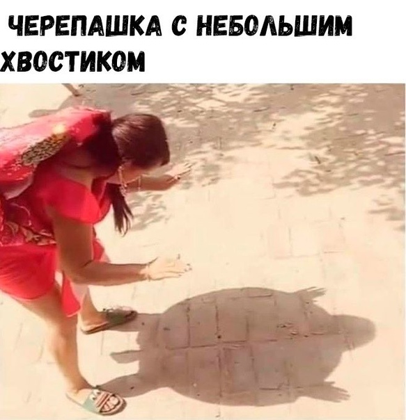 Картинки для деградации 154 (разной степени свежести)