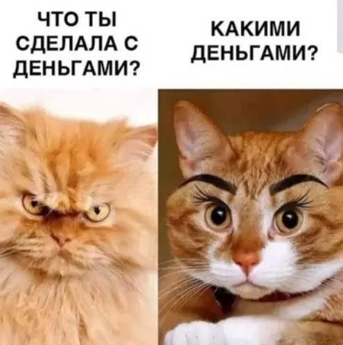 Пакет брать будете?