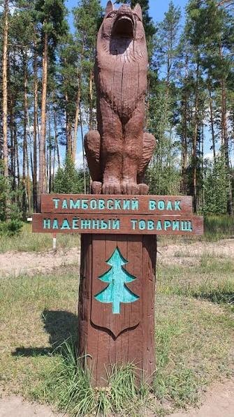 В Южной Корее привезенный из РФ волк сделал подкоп и сбежал из зоопарка