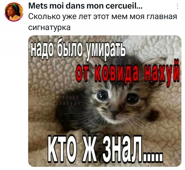 Картинки для деградации 192 (разной степени свежести)