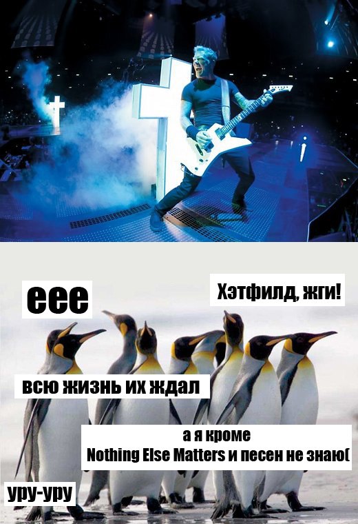 Metallica дала концерт в Антарктиде.