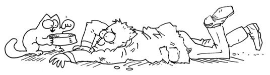 В гостях у кота Саймона