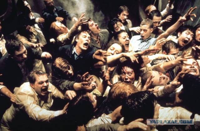 Голодные рыбы-карпы