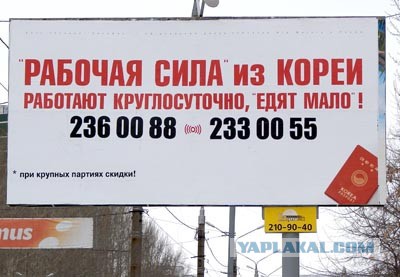 Весёлые картинки. Разбавим будни