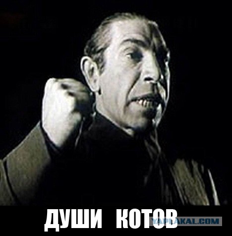 Горе девушки