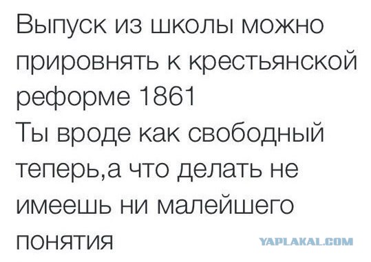 Комменты из соцсетей