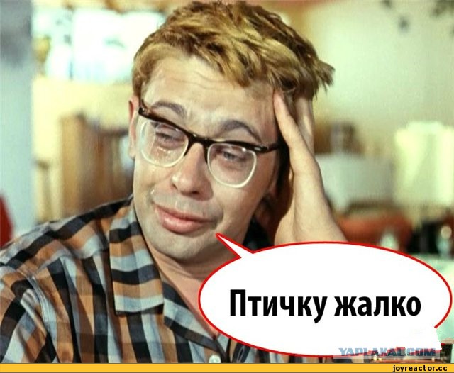 Скутерист
