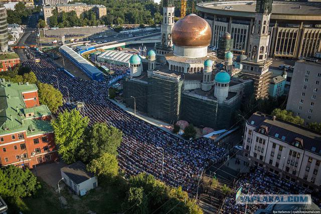 Горячо почитаемая полиция