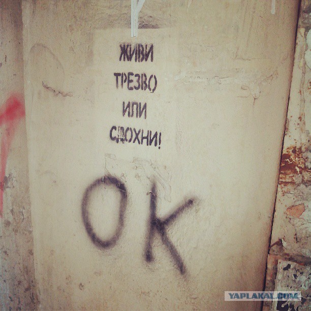 Жемчужина Казахстана! Almaty Tapok Edition