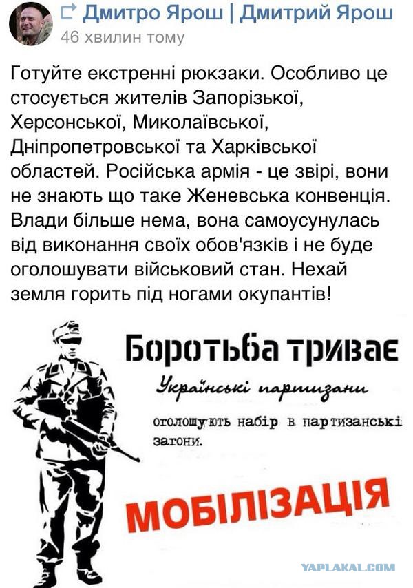 Колона танков и бронетехники с флагами Новороссии
