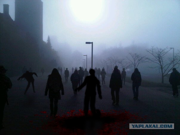 "Просто дорога до универа..."