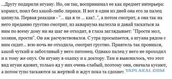 Подборка весёлых картинок