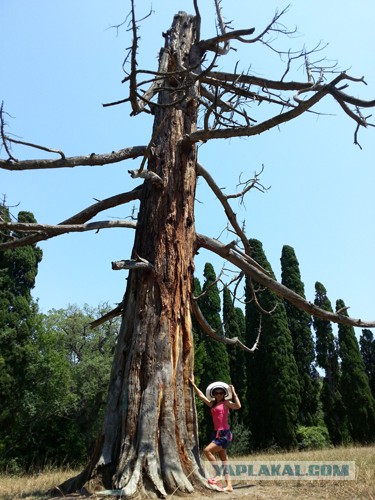 Дорога из Киева и из Москвы в Ялту.