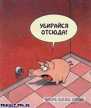 А вот и новые картинки!