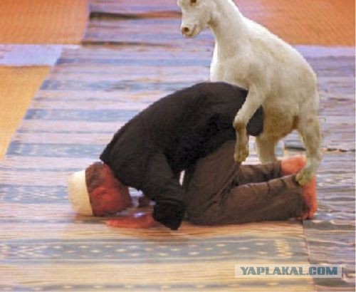 Упоротые картинки