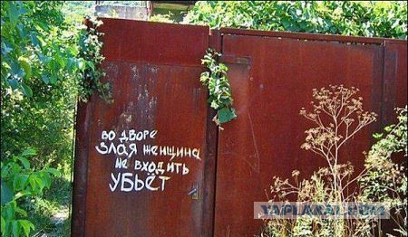 Весёлое из сети