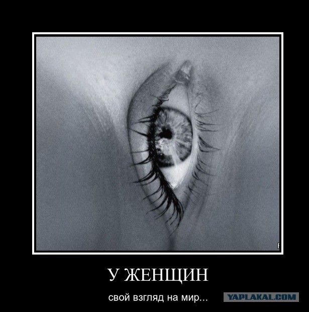 Демотиваторы вторника