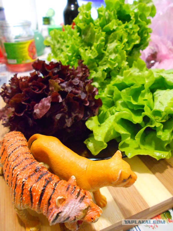 Вкусное обаяние Кулинарии, Повара ЯПа поздравляют милых дам!