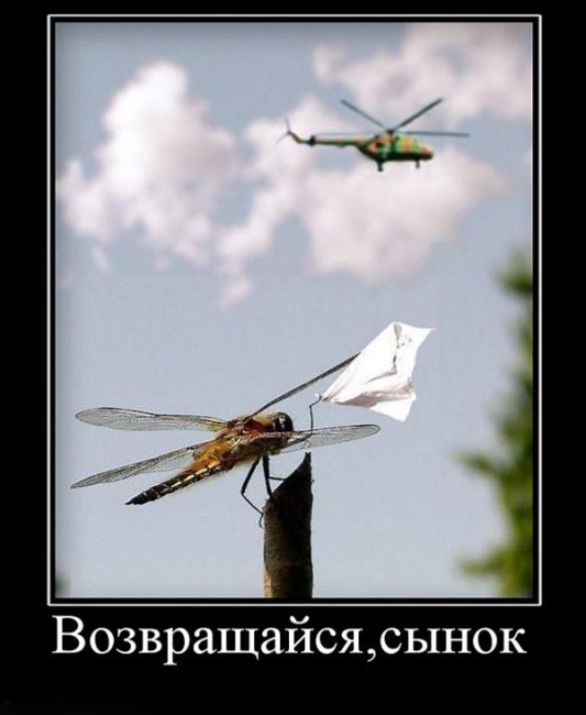 Картинки