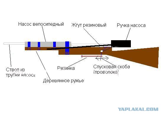 Школоте не понять: Петух или курица?