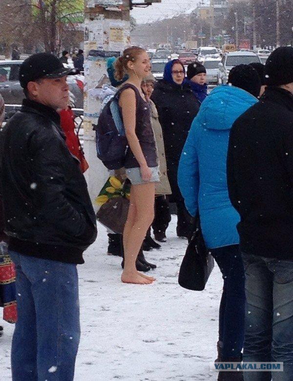 Веселости попавшиеся на сегодня