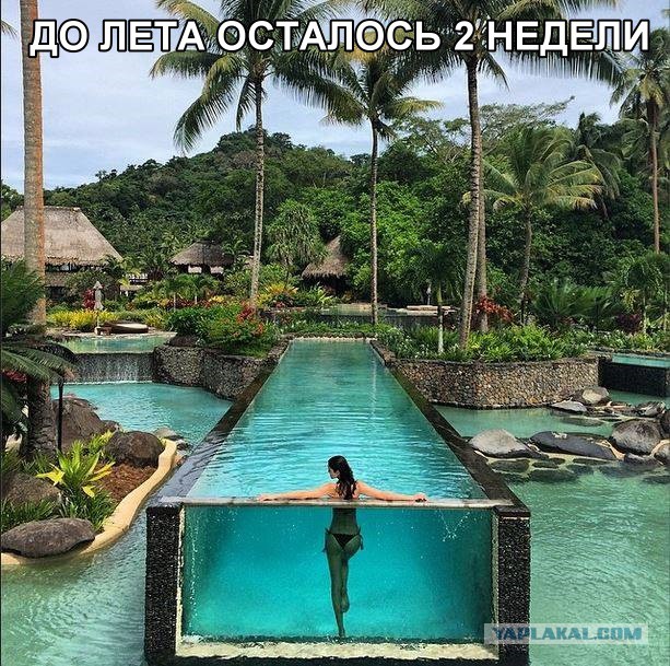 Картинки 12.05.2015