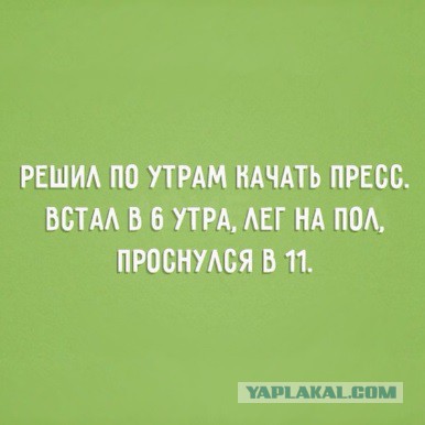 Весёлости в картинках