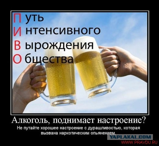 10 научных причин, почему пить пиво полезно