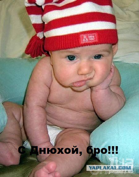 Сегодня день рождения у Ивана Охлобыстина.