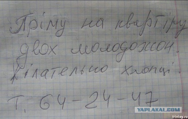 Картинки из инета