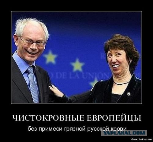 Абсент превратил отдых парня в жуткий кошмар