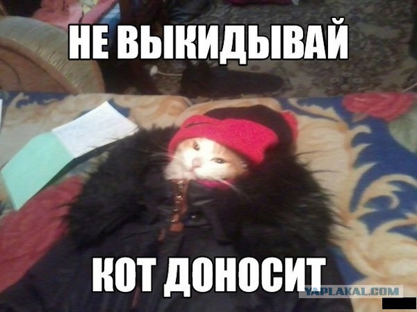 Мода, что ты делаешь? Ахаха, прекрати!