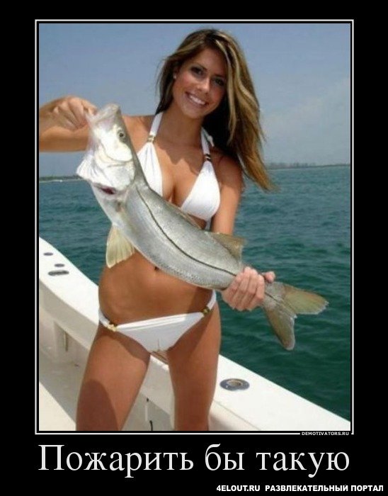 Картинки и прочее