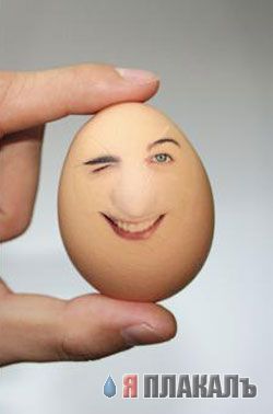 ЯЙЦА
