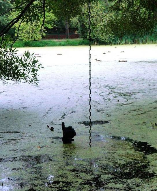 Подборка  картинок