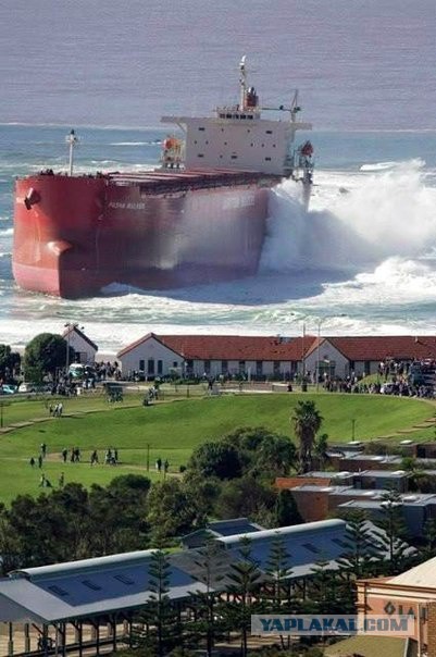 50 на 50: даже не верится, что это части одной фотографии