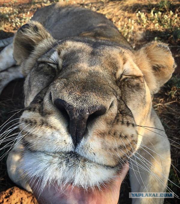 Подборка картинок