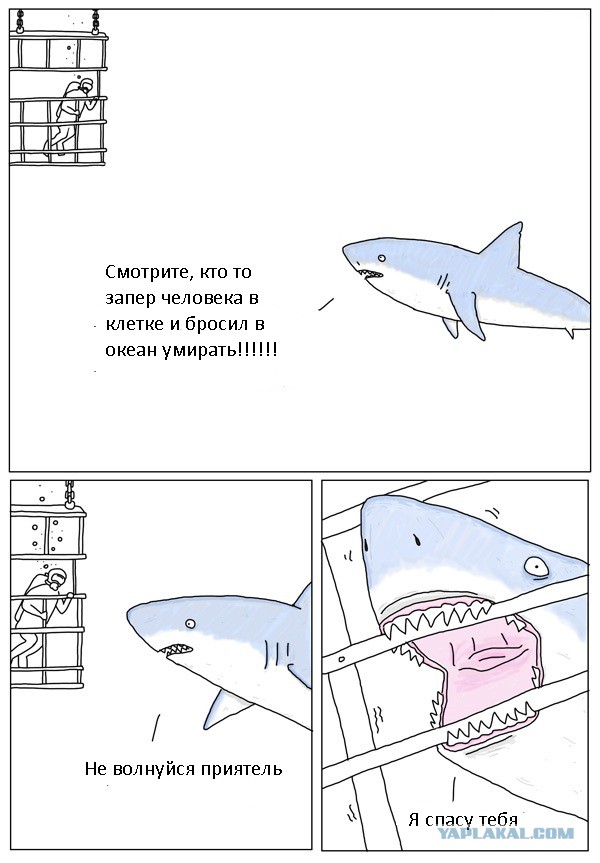 Абсурдный юмор ч.26