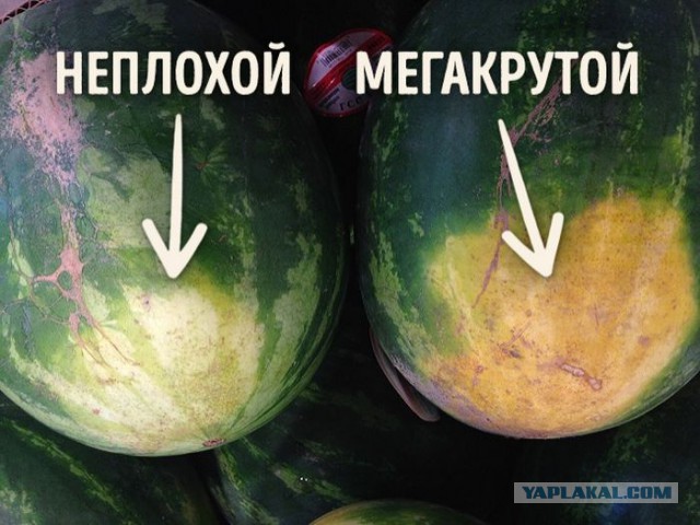 Перепуган весь двор и разбита машина...