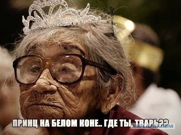 Весёлые картинки