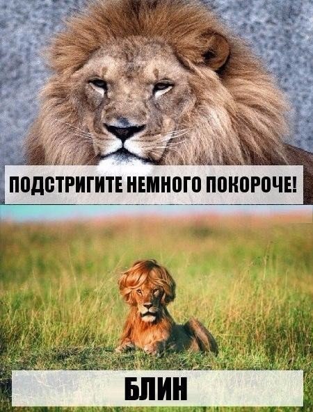 Разные картинки из сети
