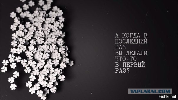 Картинки, интересные и веселые