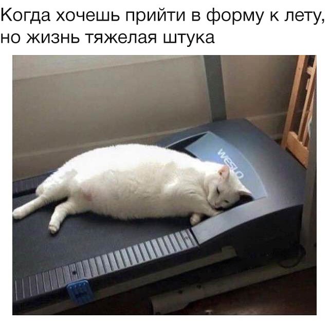 Разные картинки