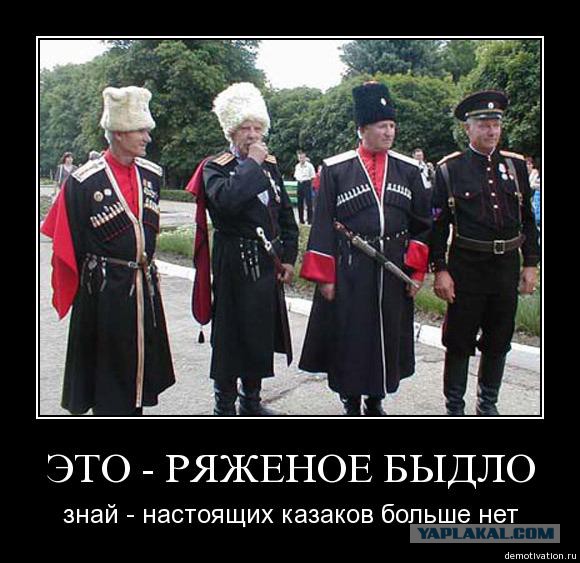 Как казаки пляж отжимали